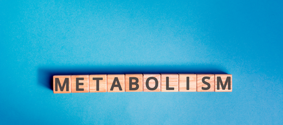 metabolismos, mplokarei