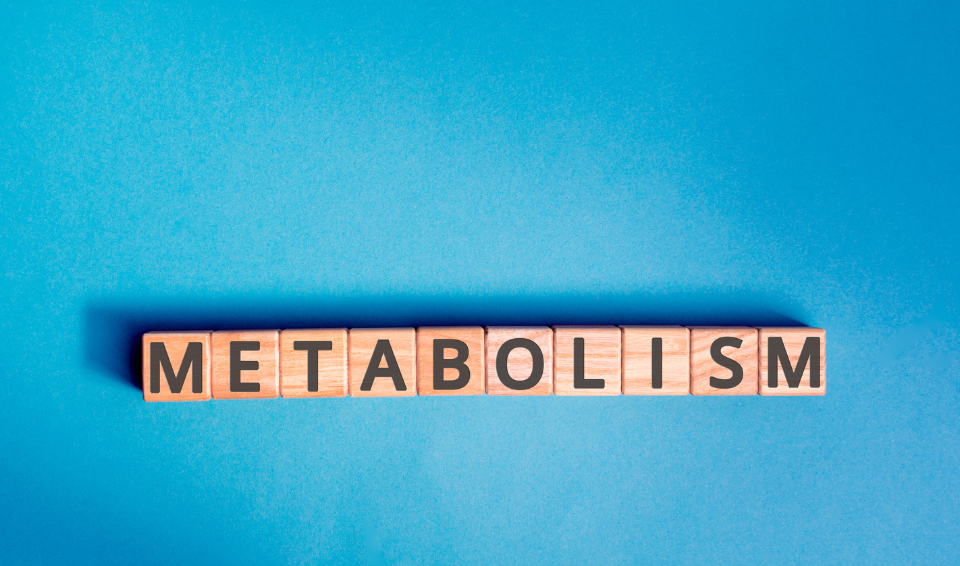 metabolismos, mplokarei